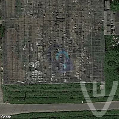 Greenhouse B urban exploration location in Belgium - Image 1