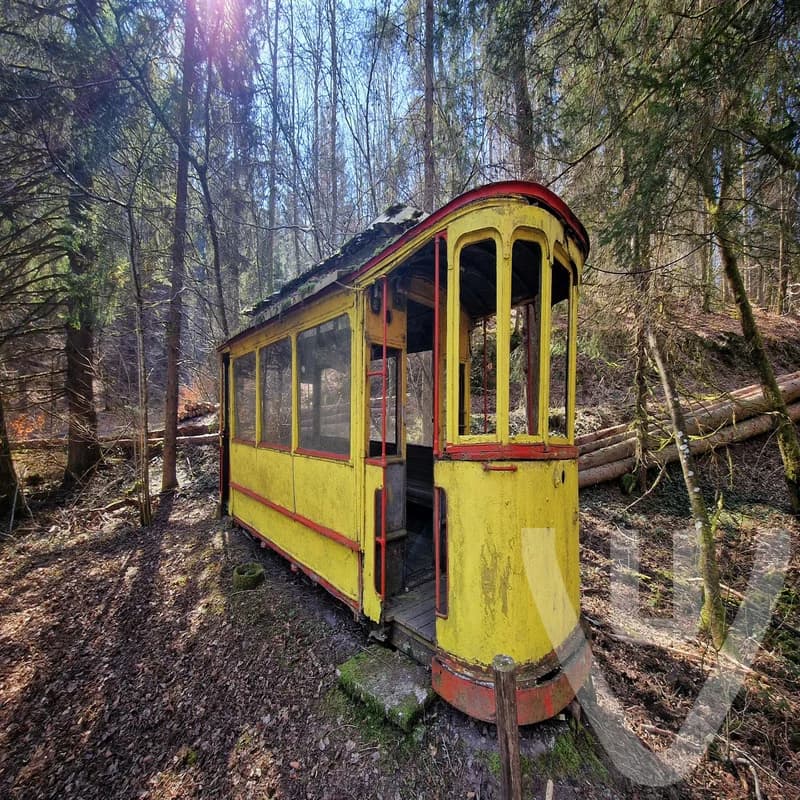 Le Tram jaune / The Yellow Tram
