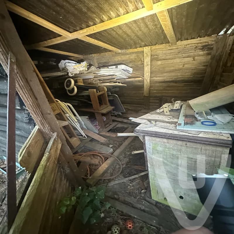 Chalet White Spiders