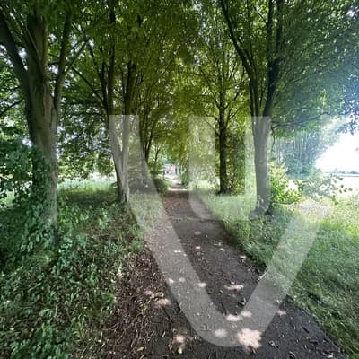 Community photo of Radar Love in Belgium by funnytyron - Photo 9