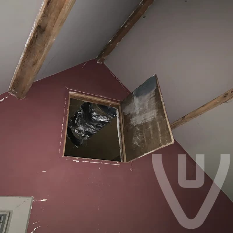 Maison Suicide