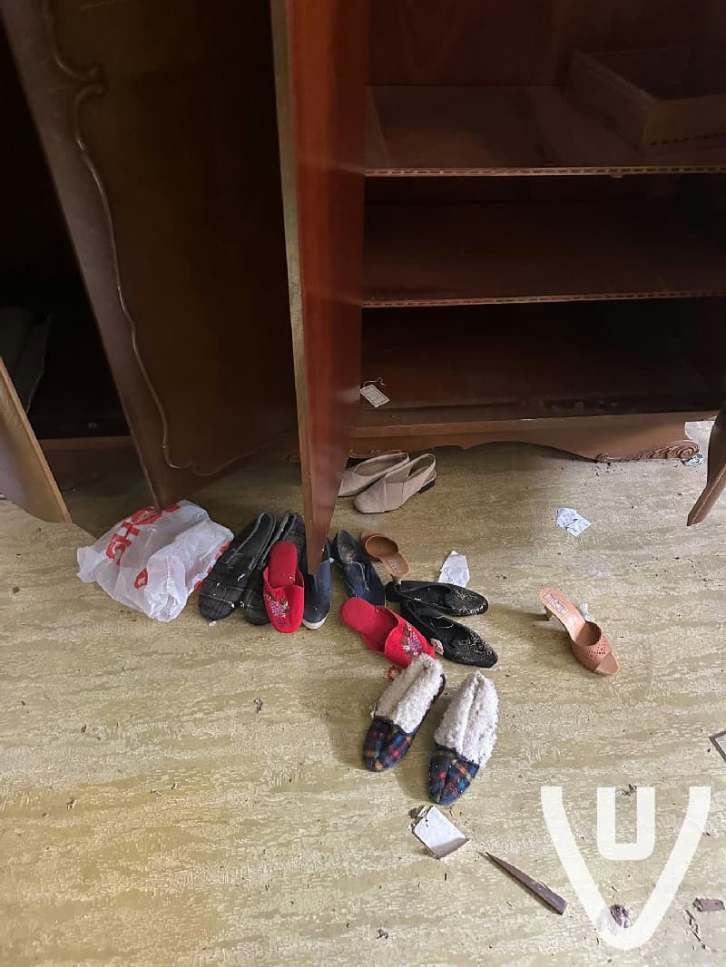 Grandmother's Shoes House