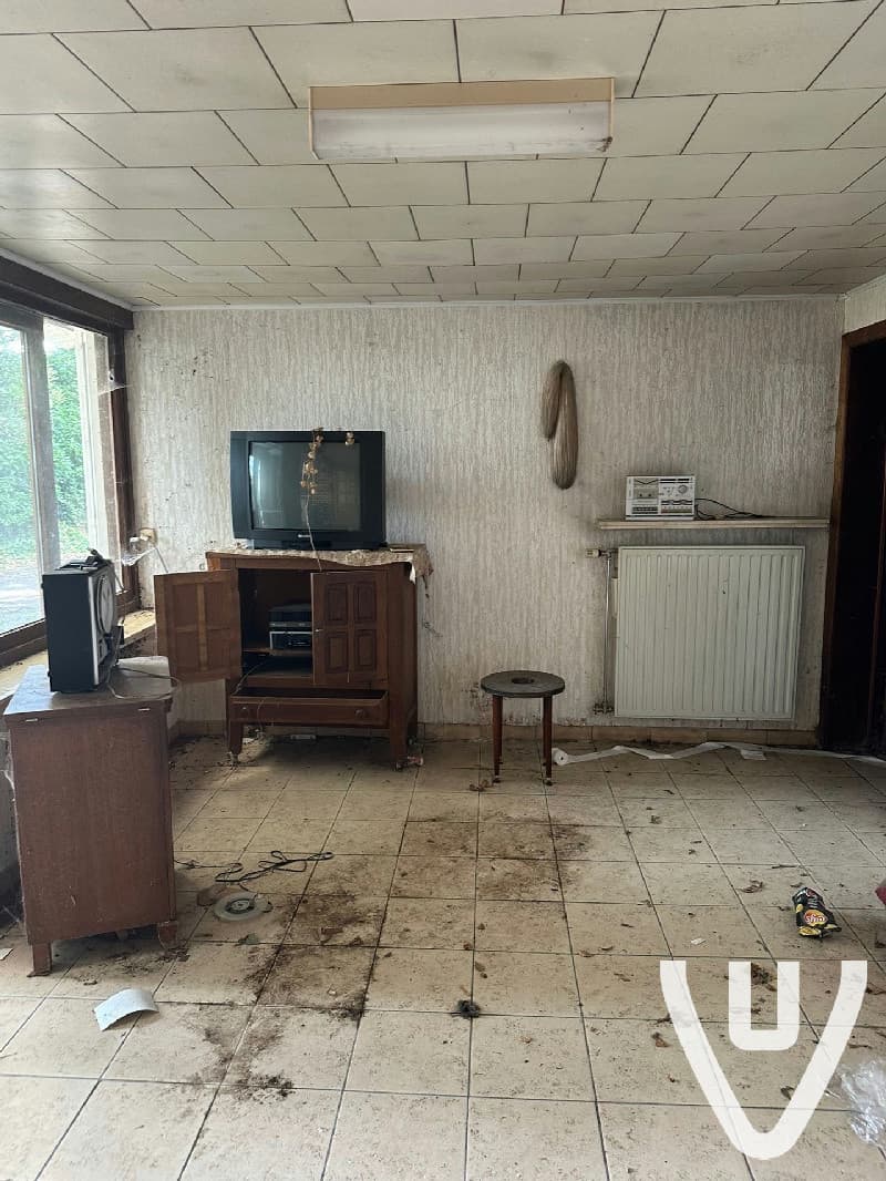 Grandmother's Shoes House