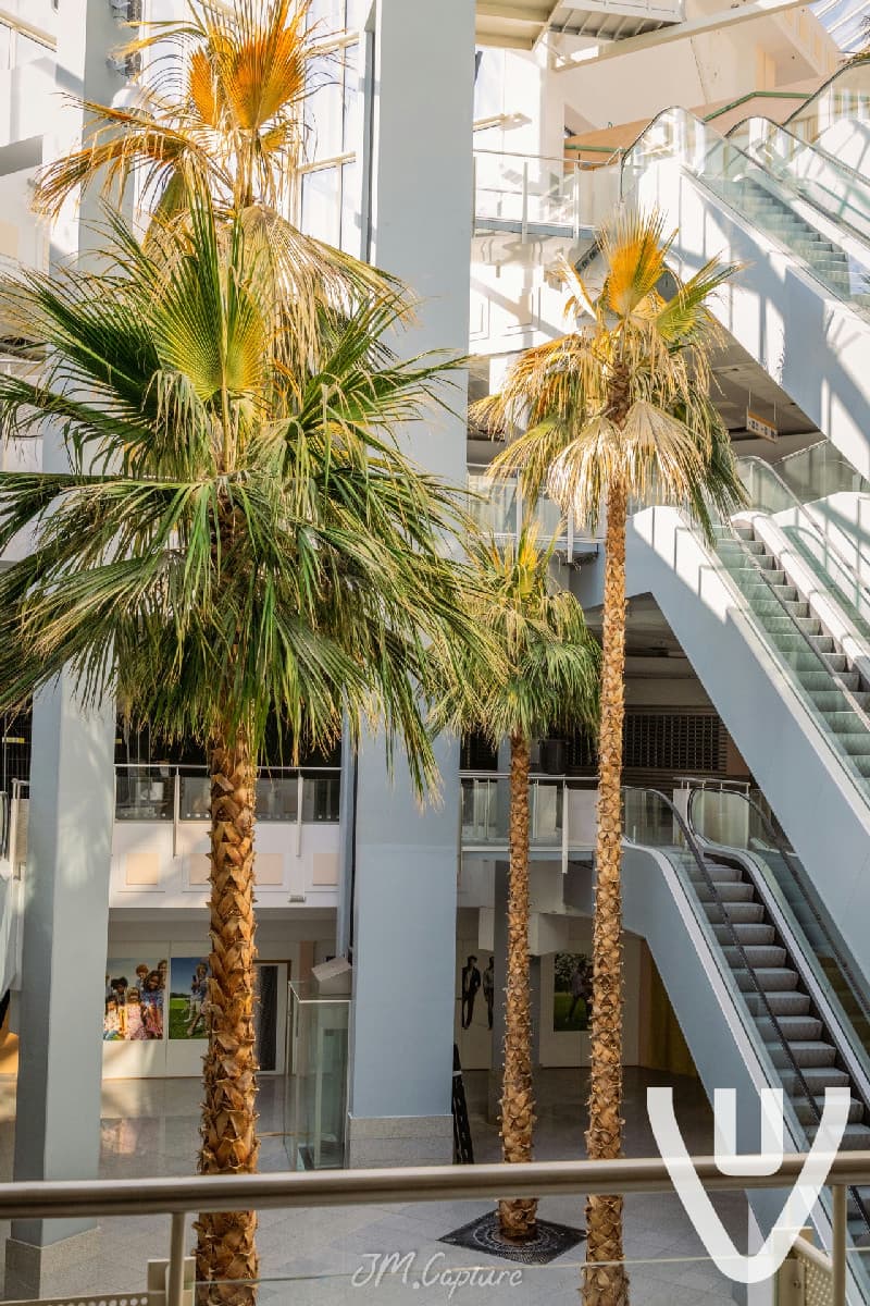 Shoppingcenter Plaza