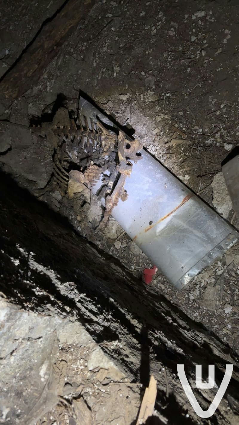 Menselijke resten zijn er over