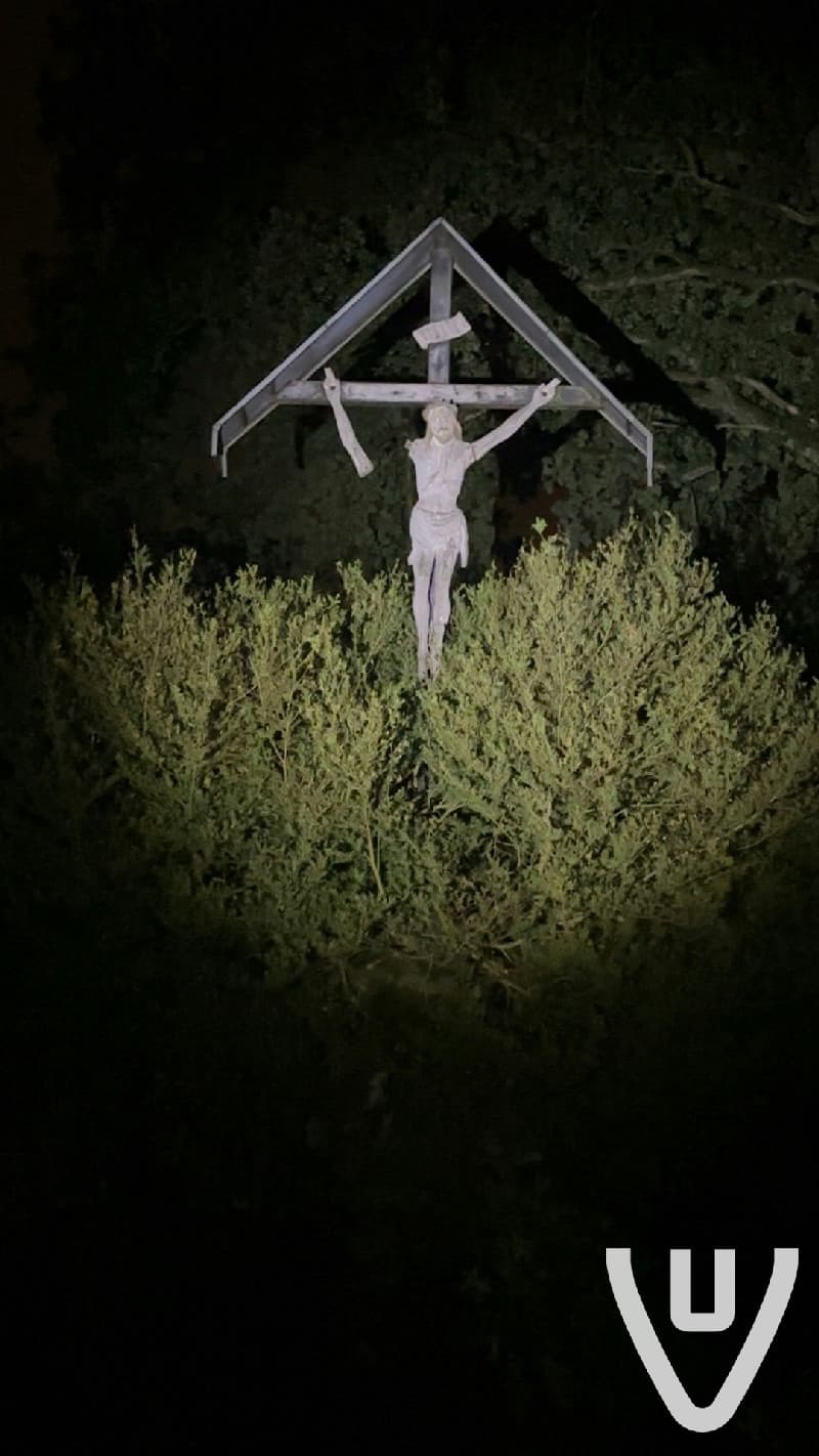 Cemetery of the Insane