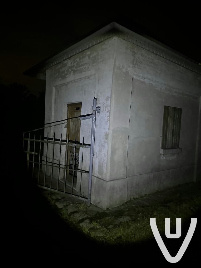 Cemetery of the Insane