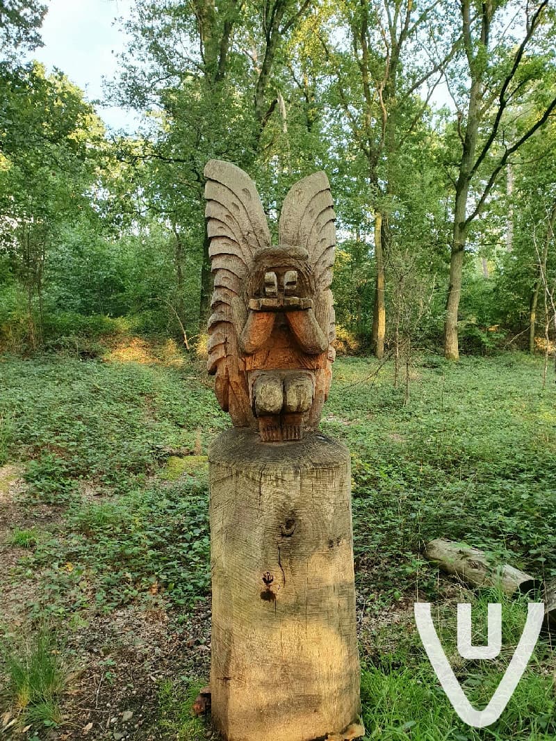 Cemetery of the Insane