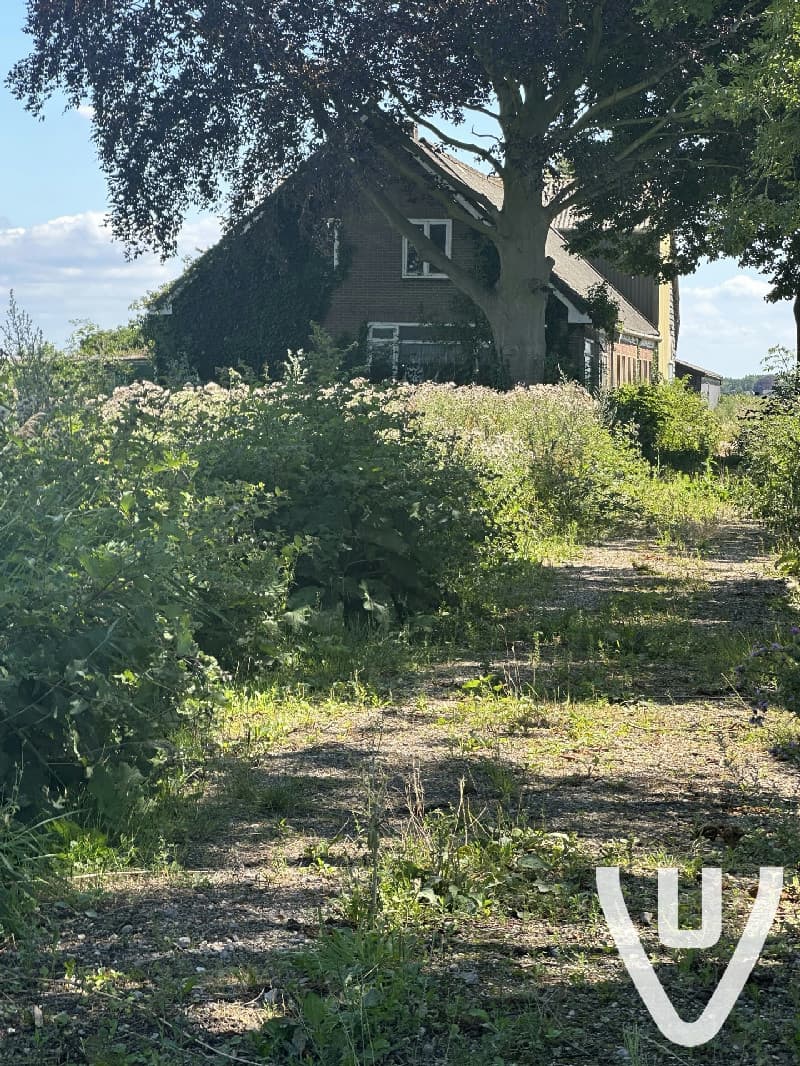 Was graag binnen wezen kijken maar helaas was ik alleen.. gauw eens terug.